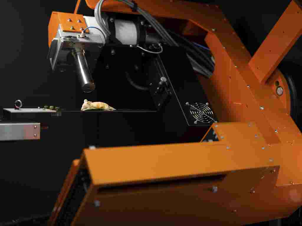 Small Animal IGRT I SmART+ | Imaging I Precision X-Ray