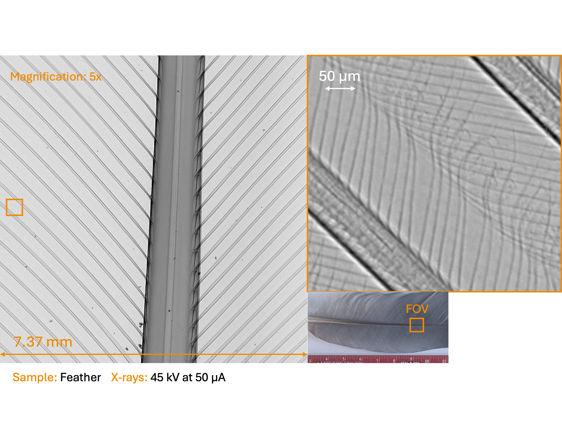 Slide2
