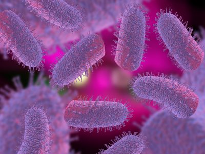 Pink rabies virus microscopic cells with pink background 3D Illustration
