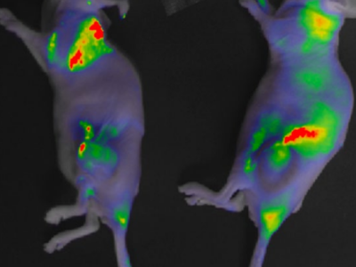 Screenshot 2025-10-27 100333