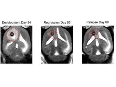 Untitled design (47)